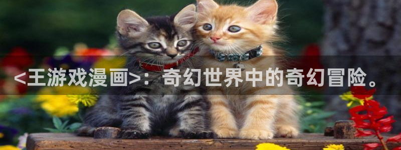 好看的51漫画免费漫画在线：<王游戏漫画>：奇幻世界中的奇幻冒险。