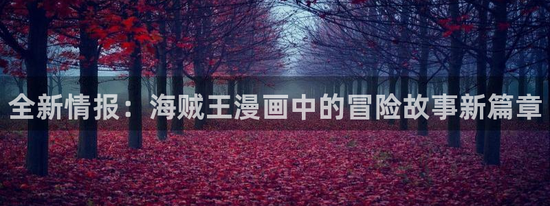 凑51漫画画：全新情报：海贼王漫画中的冒险故事新篇章