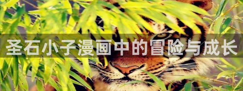 51漫画 免费在线：圣石小子漫画中的冒险与成长