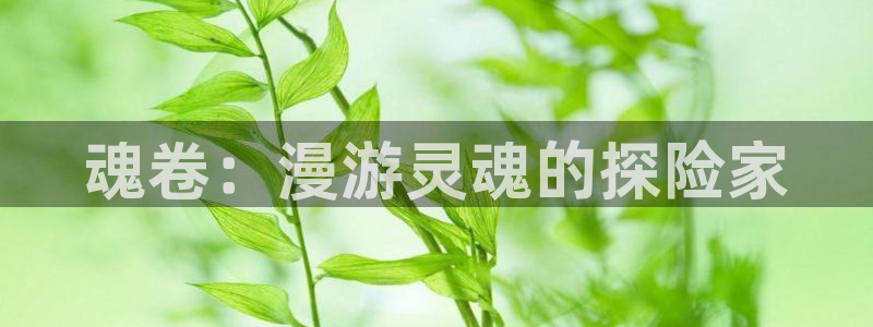 歪歪51漫画无羞遮漫画免费网页入口：魂卷：漫游灵魂的探险家