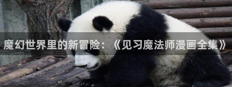 免费看51漫画在线：魔幻世界里的新冒险：《见习魔法师漫画全集》