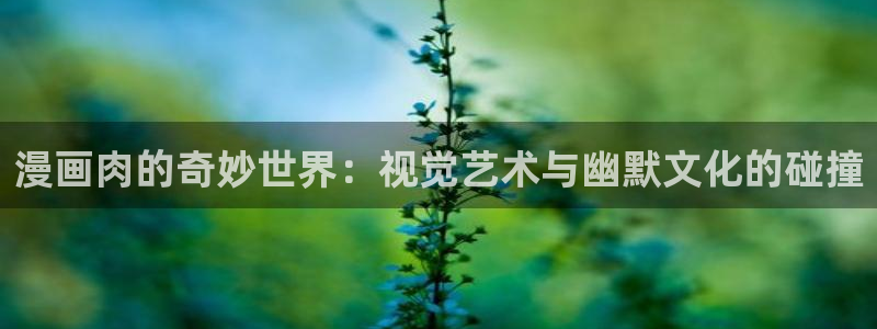 51漫画从哪看：漫画肉的奇妙世界：视觉艺术与幽默文化的碰撞