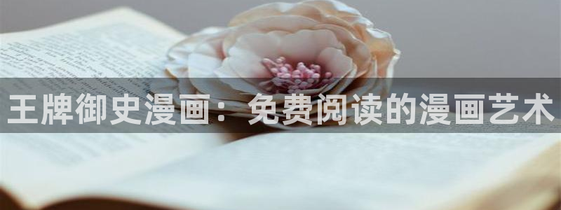 国漫51漫画：王牌御史漫画：免费阅读的漫画艺术