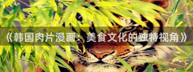 阿吧漫画51漫画全集免费：《韩国肉片漫画：美食文化的独特视角》